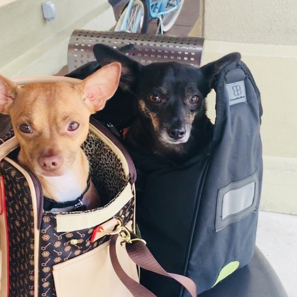 Meet your Posher, Eva - Picture 5 of 5